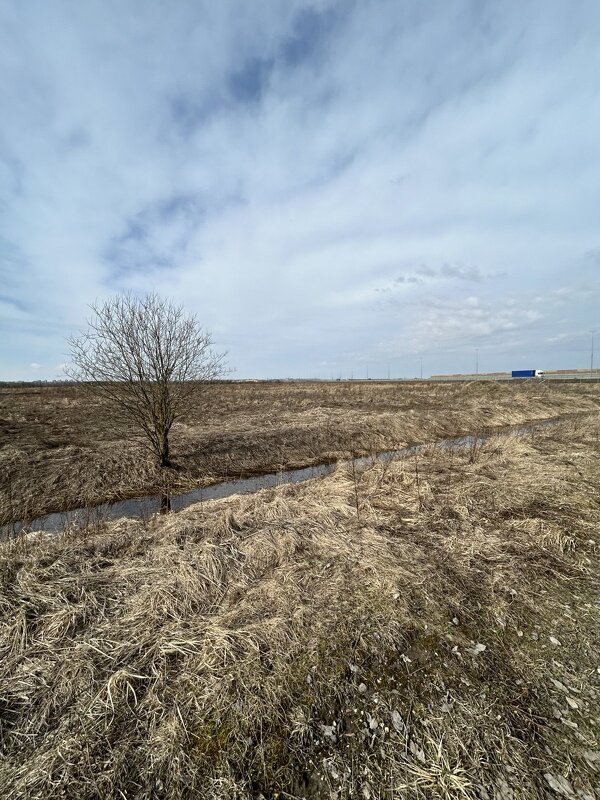 ___ - Наталья Запольских