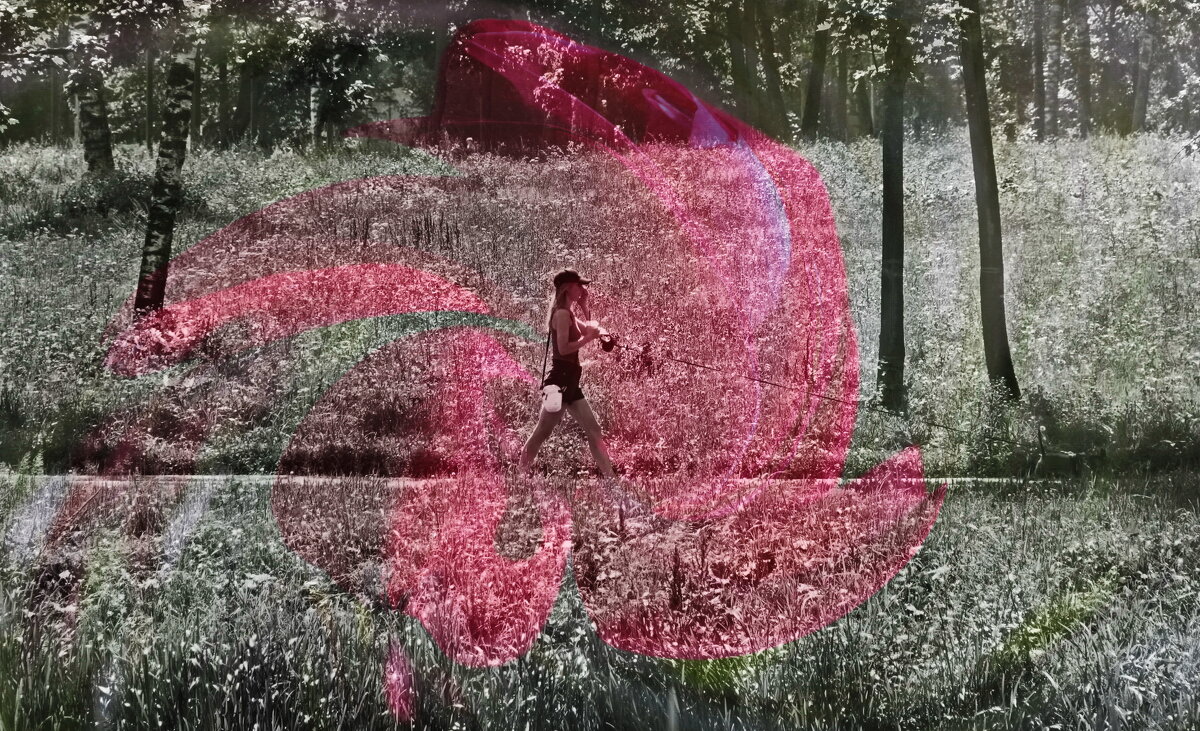 A little dog - AL Reborn 