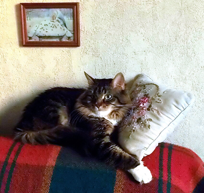 Из жизни отдыхающих... - Елена Из жизни отдыхающих... - Елена