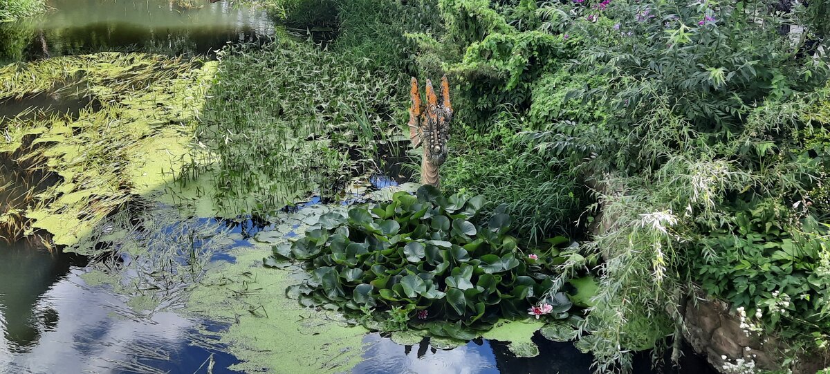 Дракон - Мария Гуськова