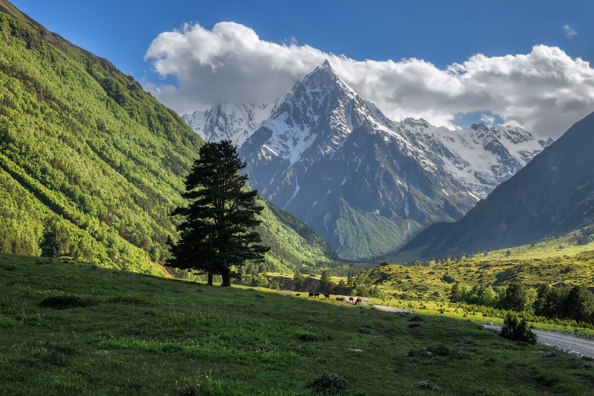 Кавказ - Владимир Колесников
