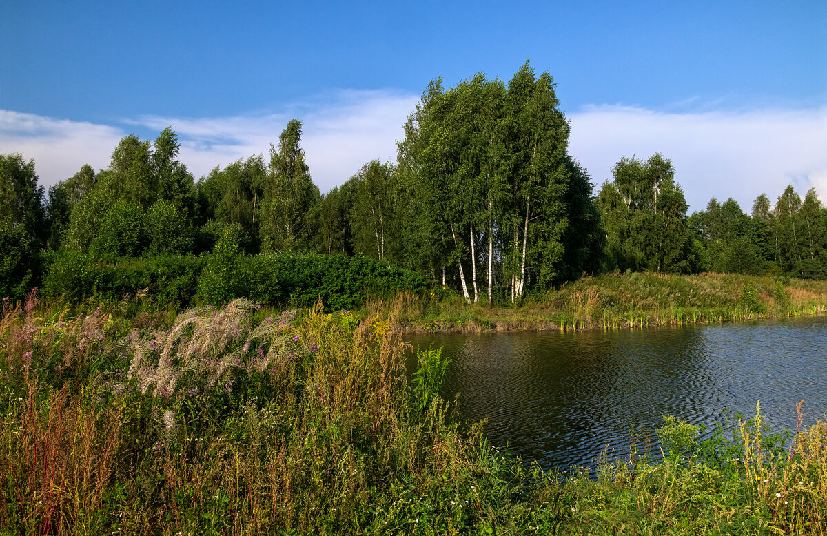 Ильин день 3 - Андрей Дворников