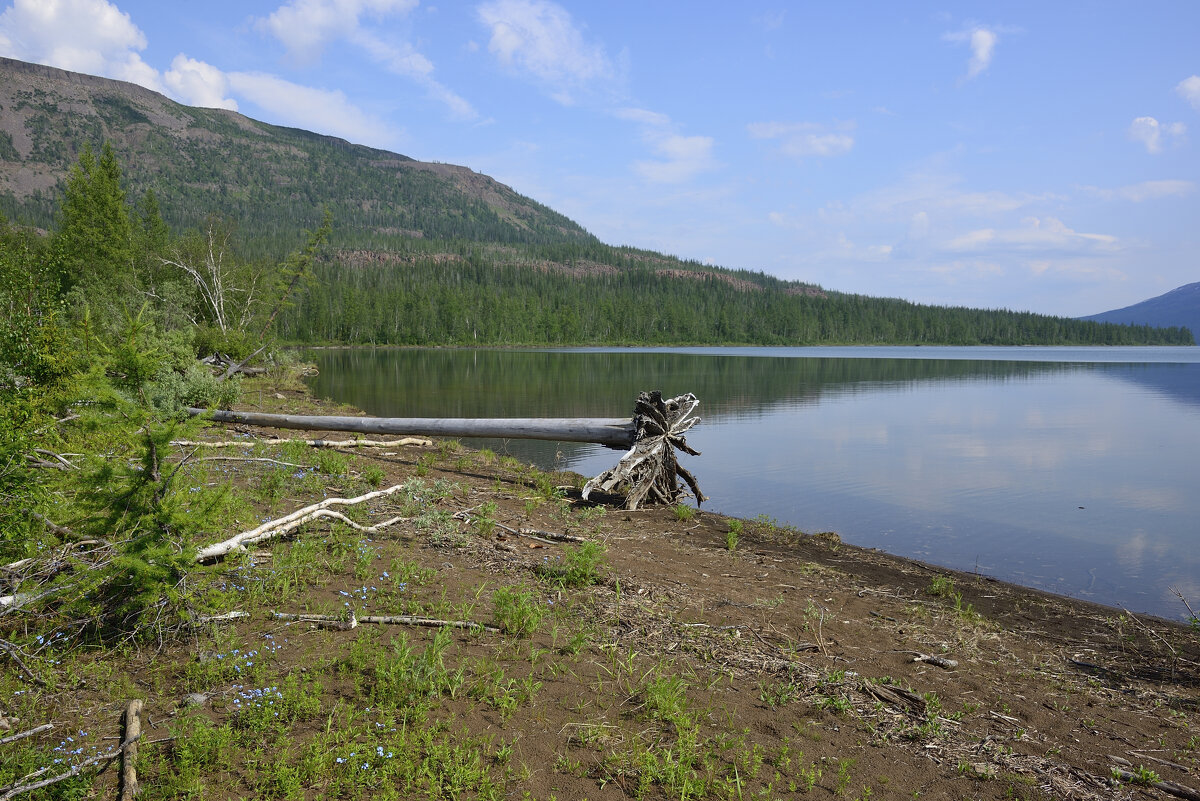 Юго-западная оконечность Накомякен - Александр Хаецкий Юго-западная оконечность Накомякен - Александр Хаецкий