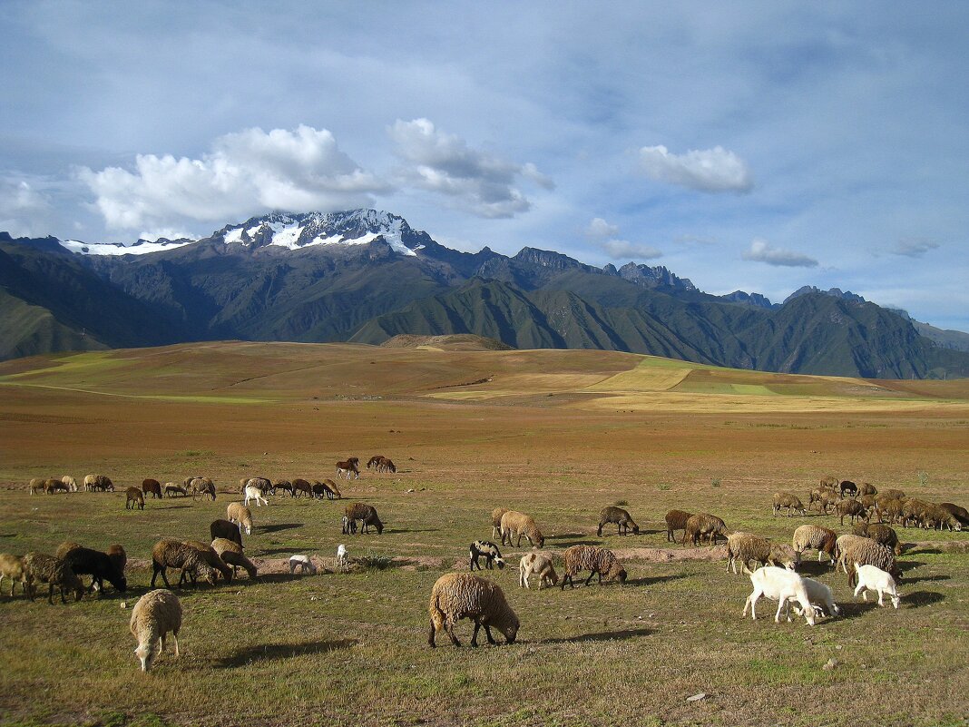 Где-то в Андах, Перу. - unix (Илья Утропов) Где-то в Андах, Перу. - unix (Илья Утропов)