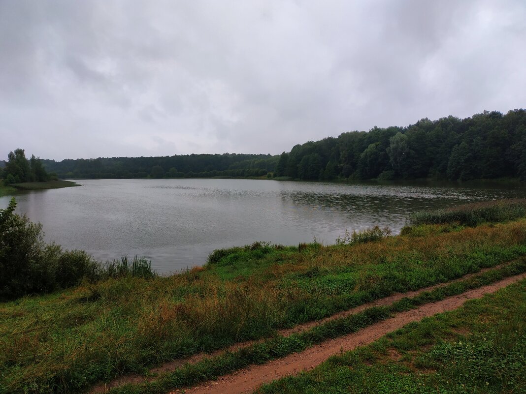 Сегодня - дождь - Андрей Лукьянов