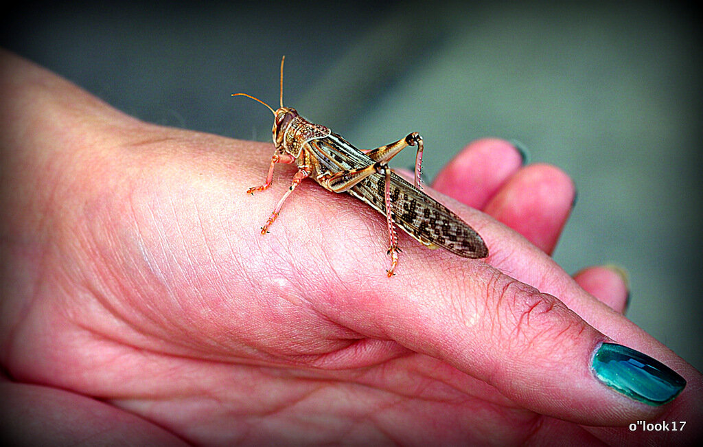 допрыгался - Олег Лукьянов