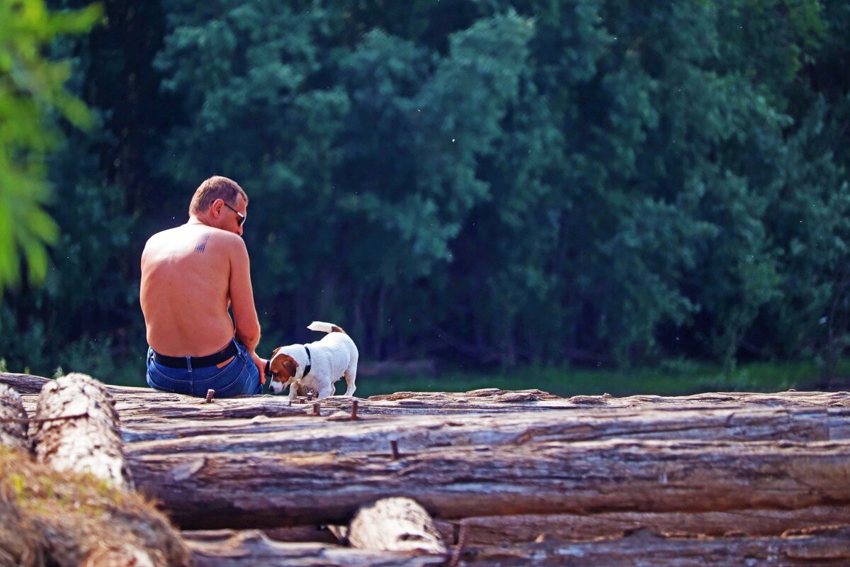 Июль...Загораем с песиком у реки! - Владимир Июль...Загораем с песиком у реки! - Владимир