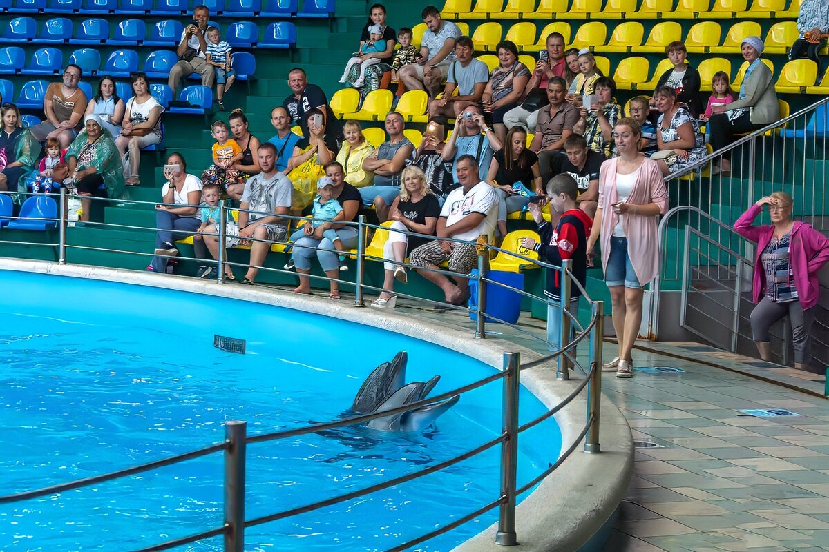 Дельфинарий в поселке Небуг - Игорь Сикорский