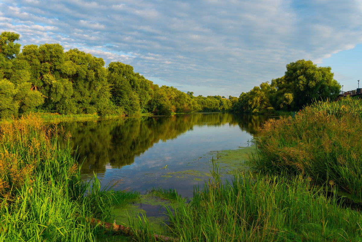 * - Виталий Емельянов