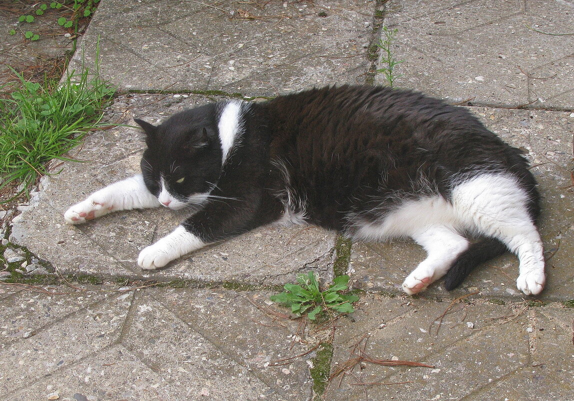 Так жарко - Людмила Смородинская