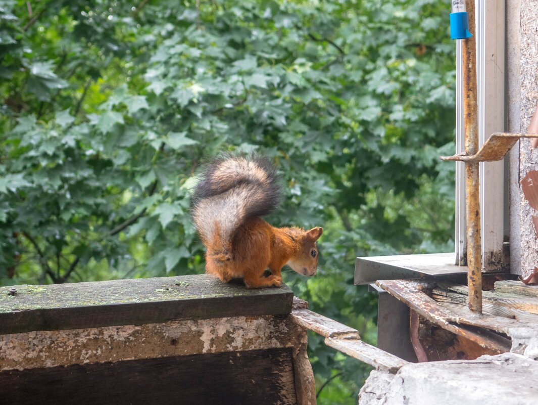 ___ - Yuriy V ___ - Yuriy V