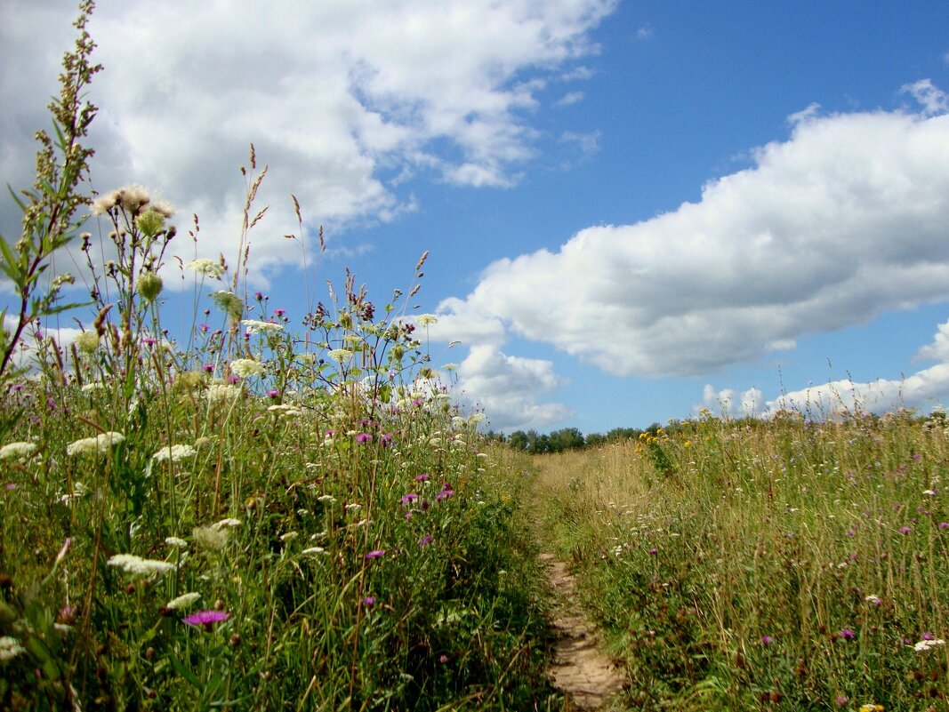тропинки небесные и земные... - Галина Флора тропинки небесные и земные... - Галина Флора