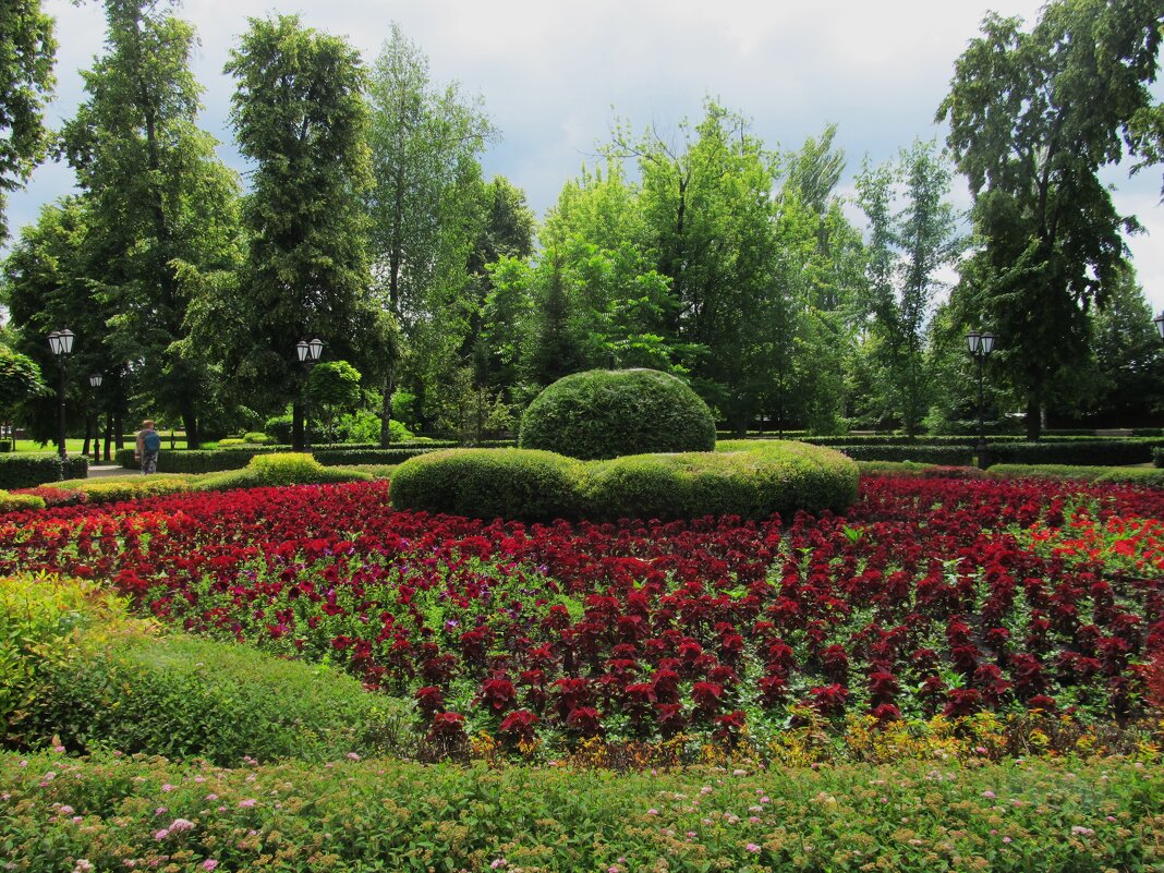 Рамонь - Елена Шаламова