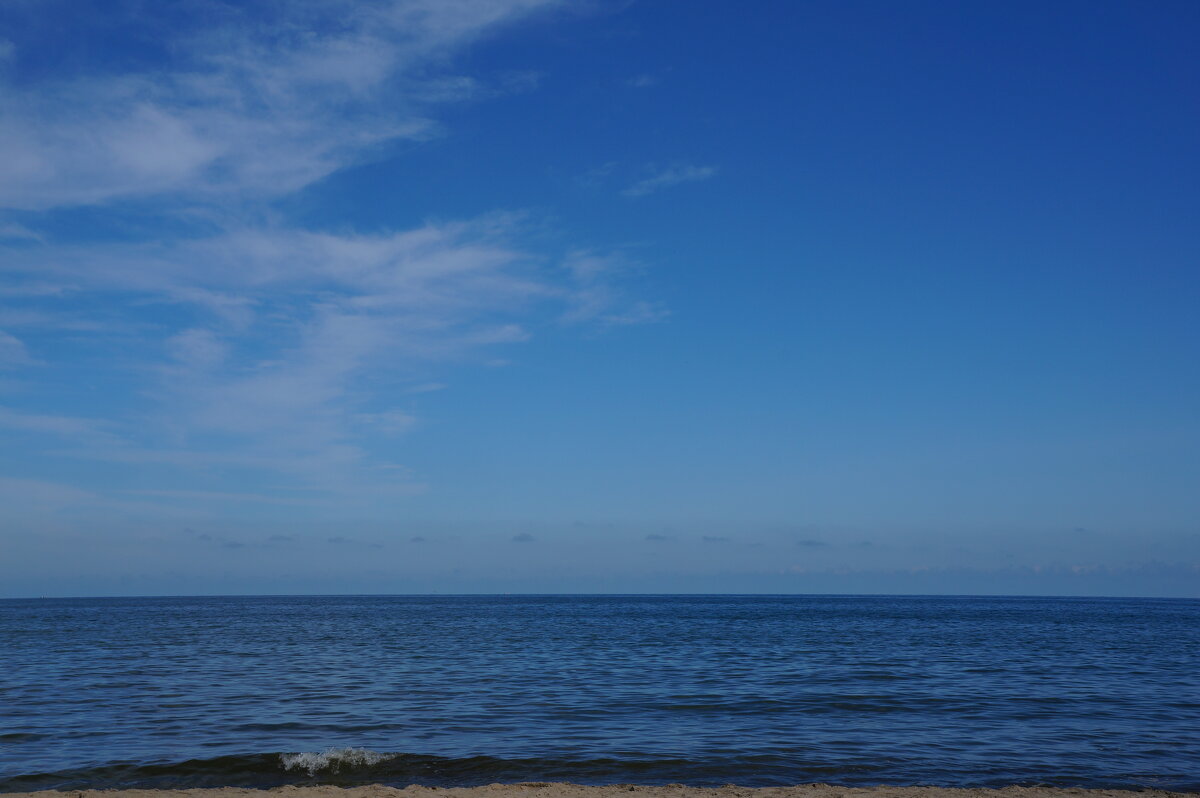 ~ ~ ~ ~ ~ ~ ~ - Алёна Савина