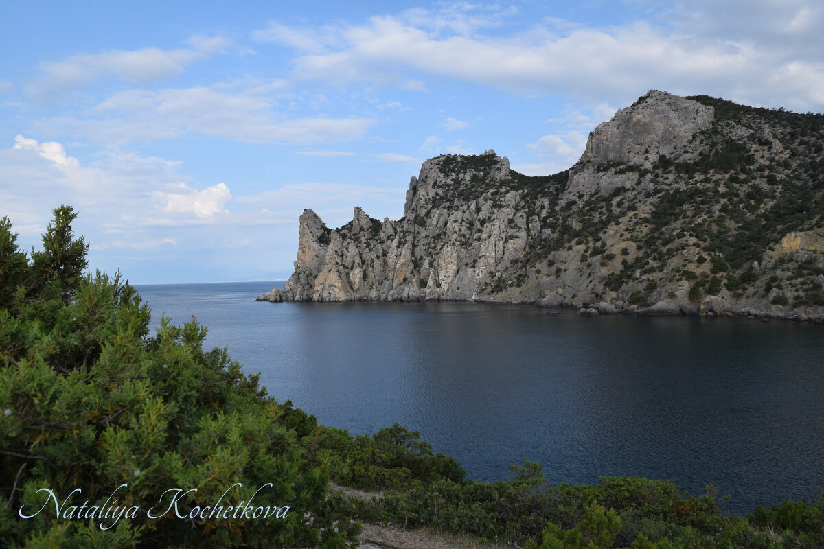 Природа Крыма - Amazing Cosmea