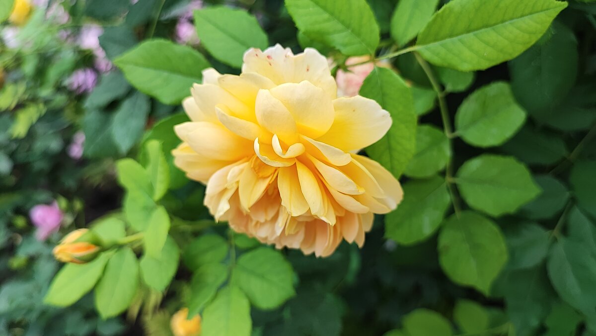 ,,, - Сергей Тимоновский