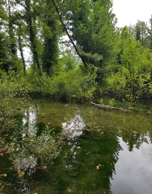 ГОРНАЯ РЕЧКА - Tata Wolf