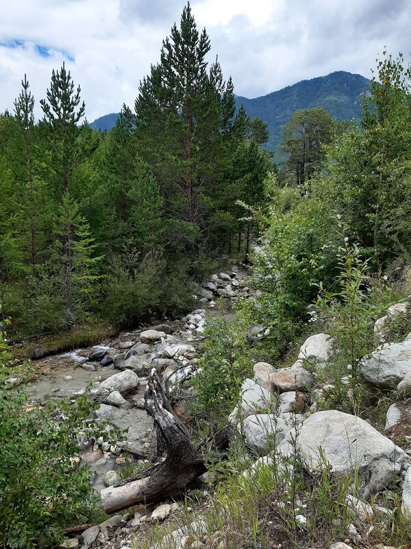 Конец июля - тоже середина лета - Галина Минчук Конец июля - тоже середина лета - Галина Минчук