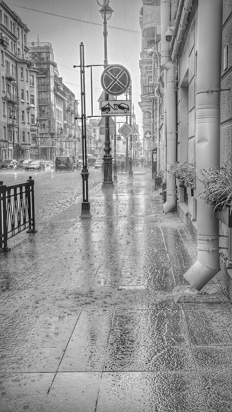 Дождь... - Станислав Мутовин