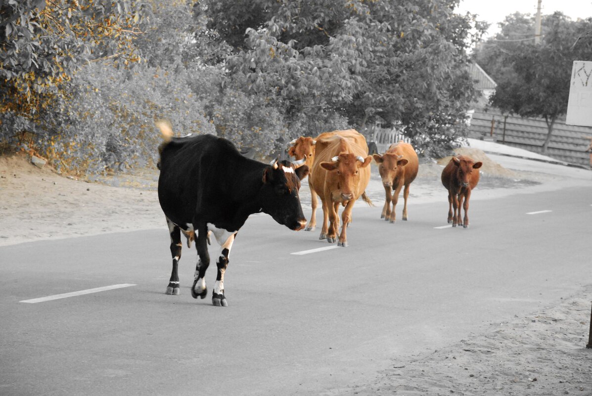 В кадре только яркие ! - Анна Камс