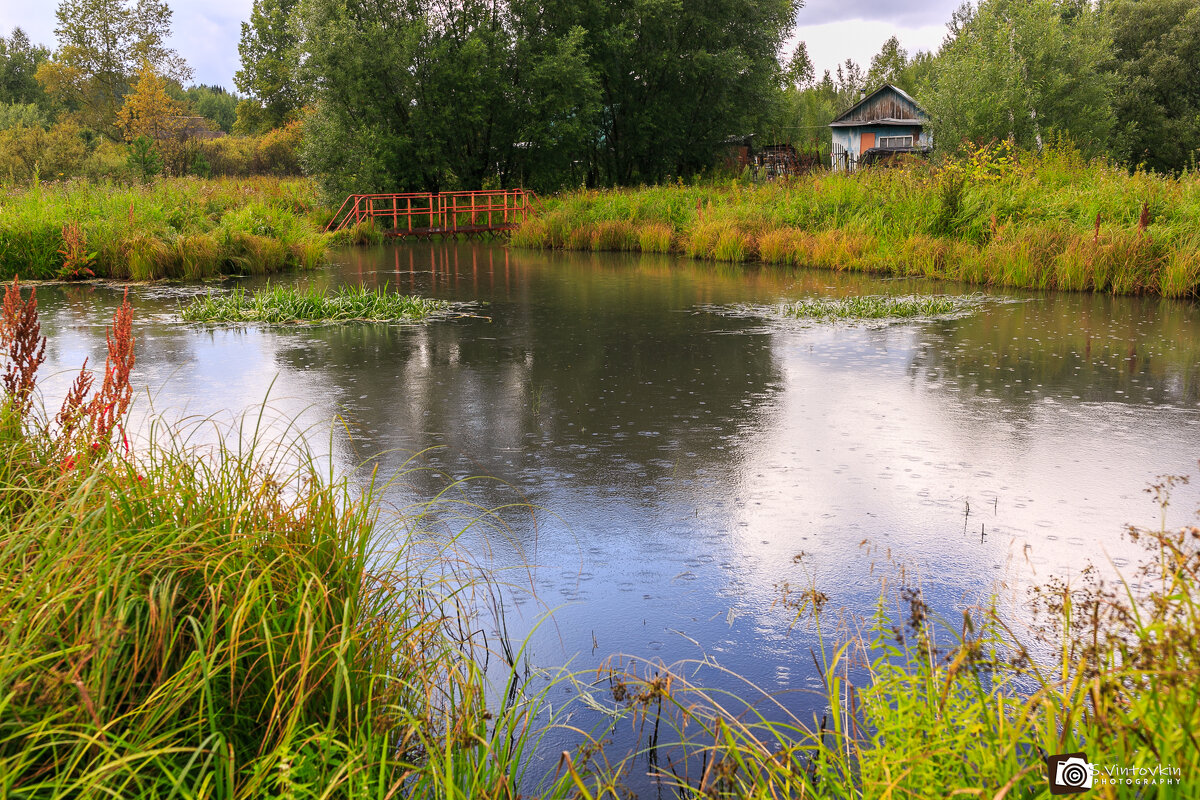 Речка Бирюлинка - Сергей Винтовкин