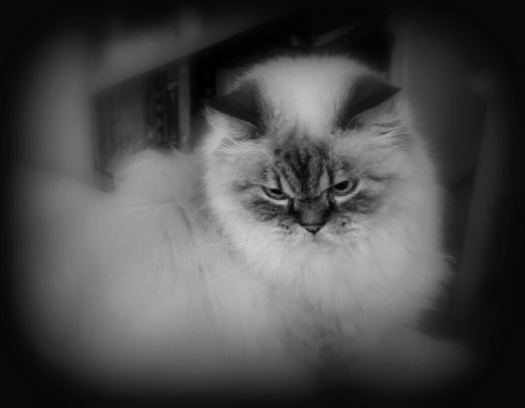 Дедушка Тихон - Сергей Карачин