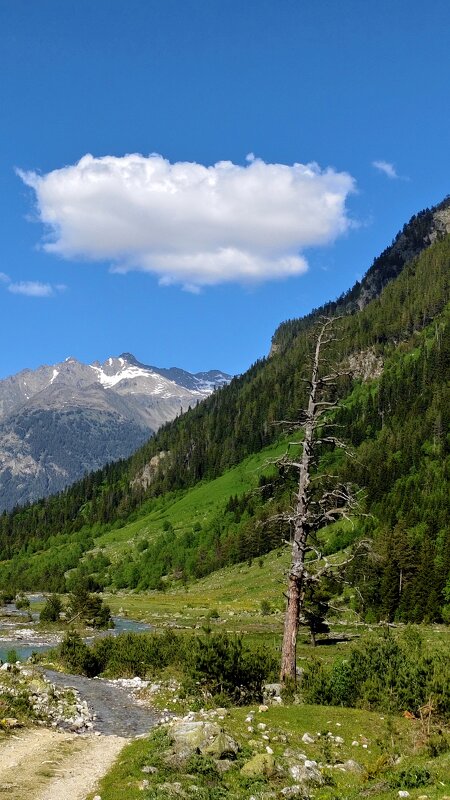 Ствол в горах. - Александр Кондаков