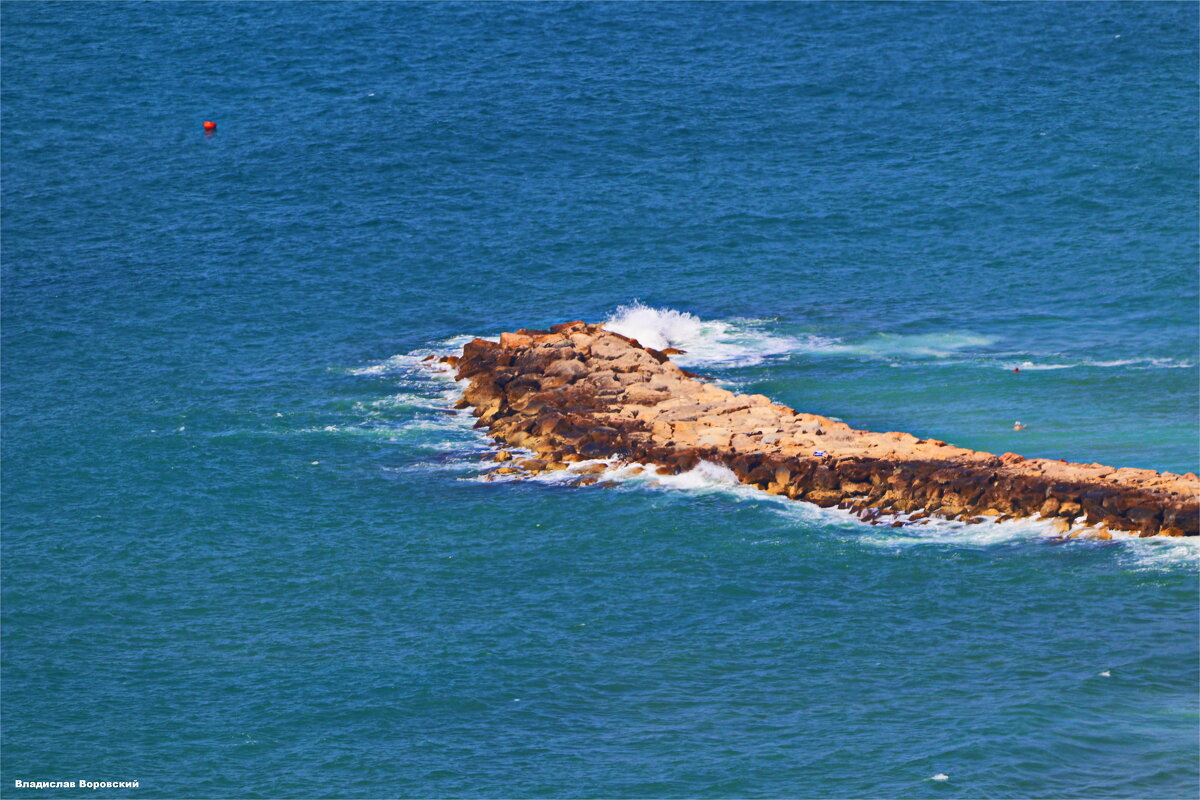 Хайфа 2025 - Владислав Воровский 