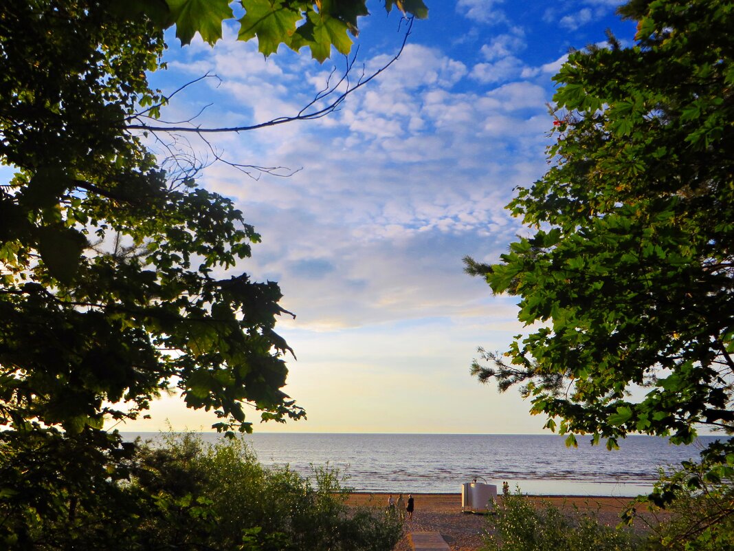 море - марта Камушкина