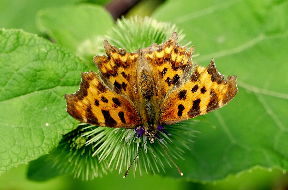 из снятого 1 августа 21 - Александр Прокудин