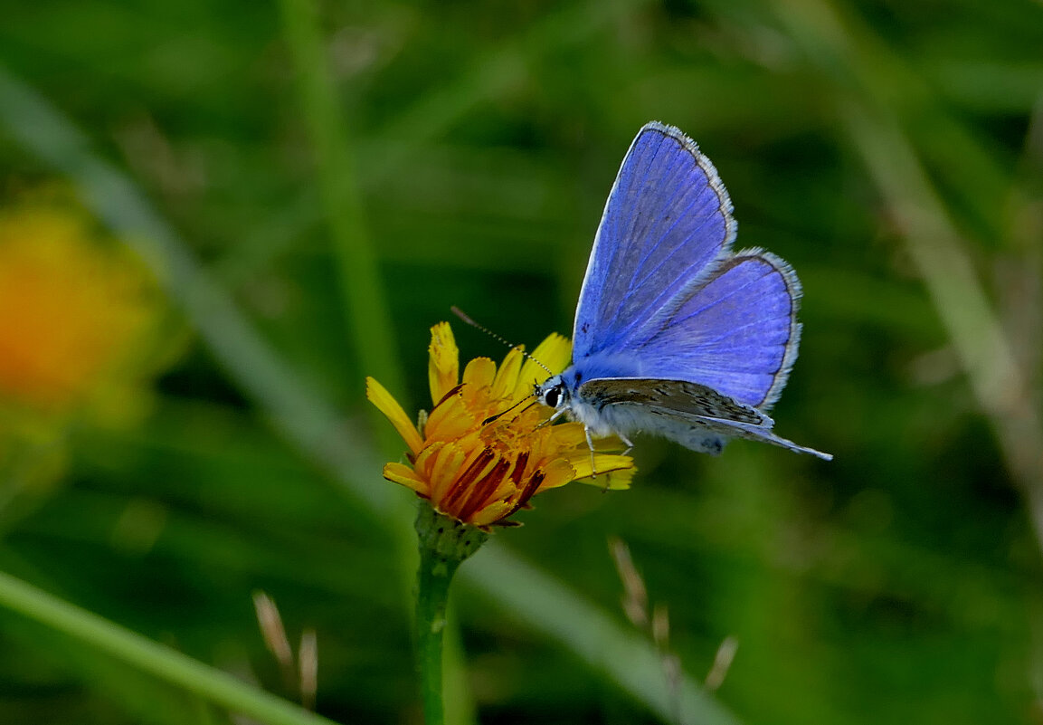 из снятого 1 августа 23 - Александр Прокудин
