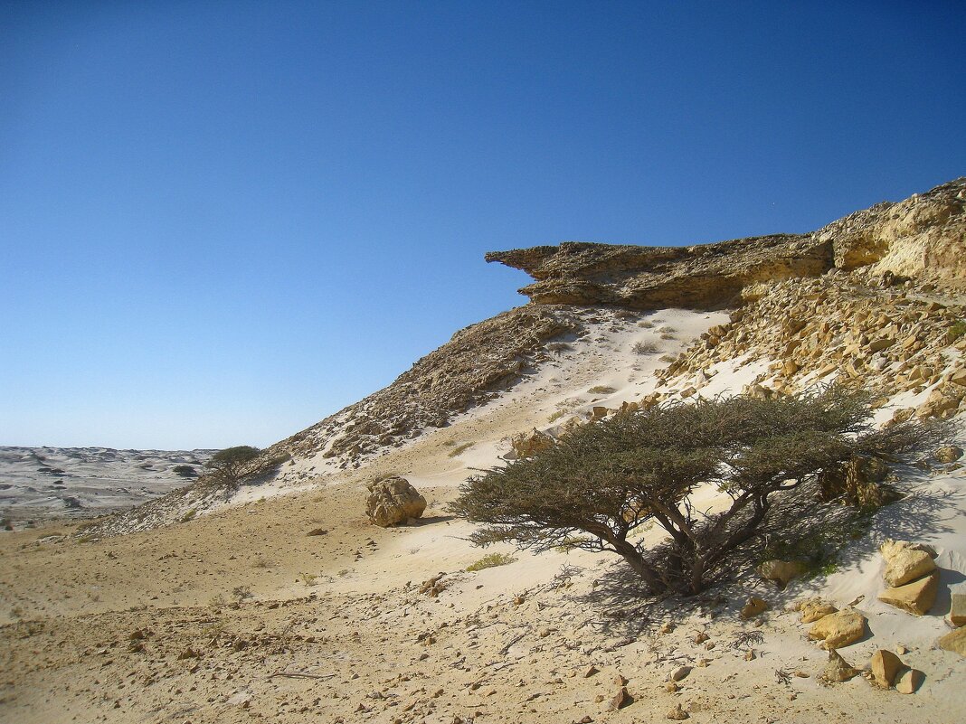 Кусочек оманской пустыни. - unix (Илья Утропов)