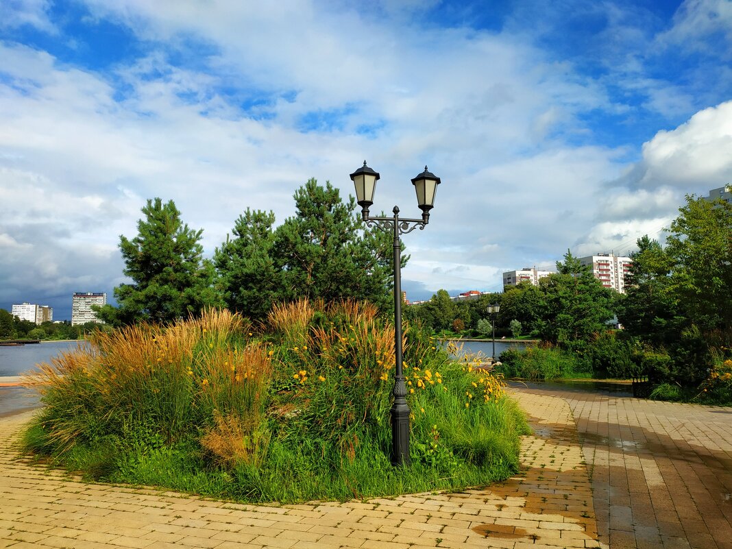 * * * - Андрей Лукьянов