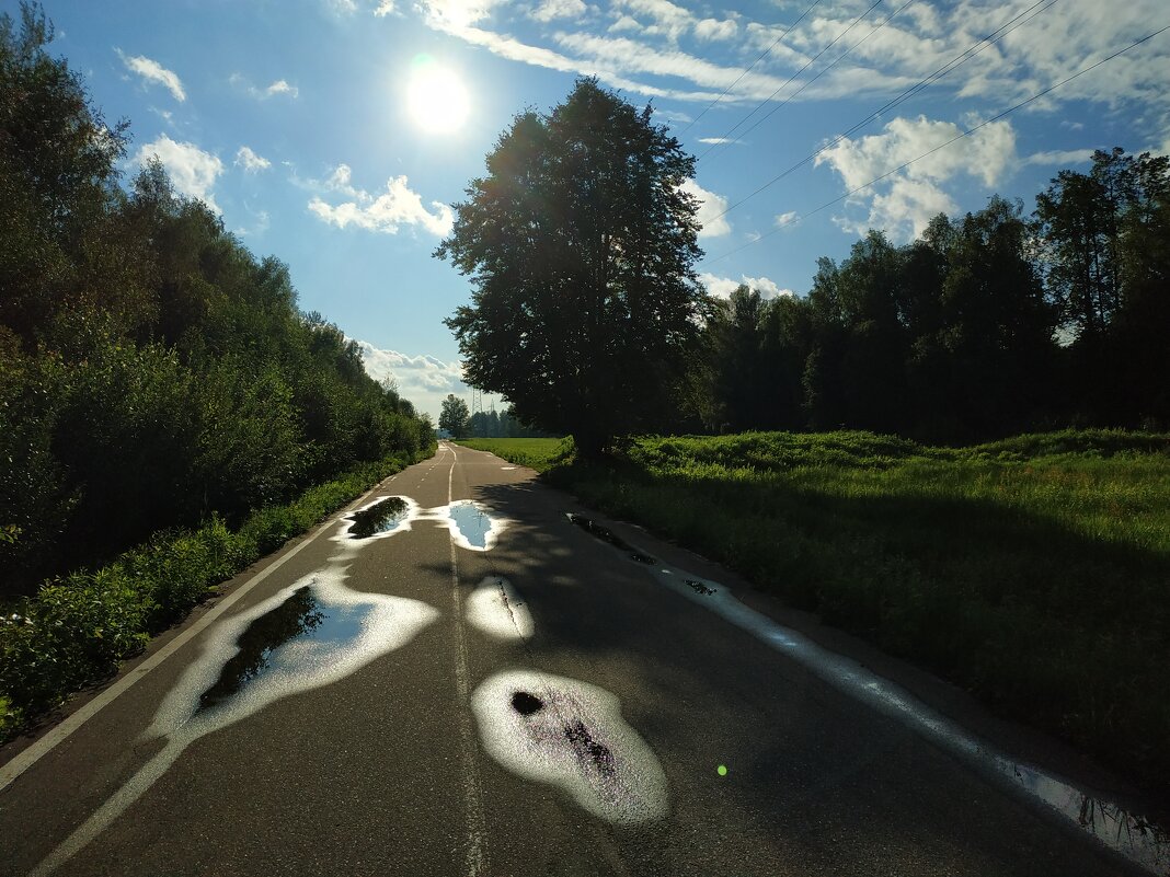 * * * - Андрей Лукьянов