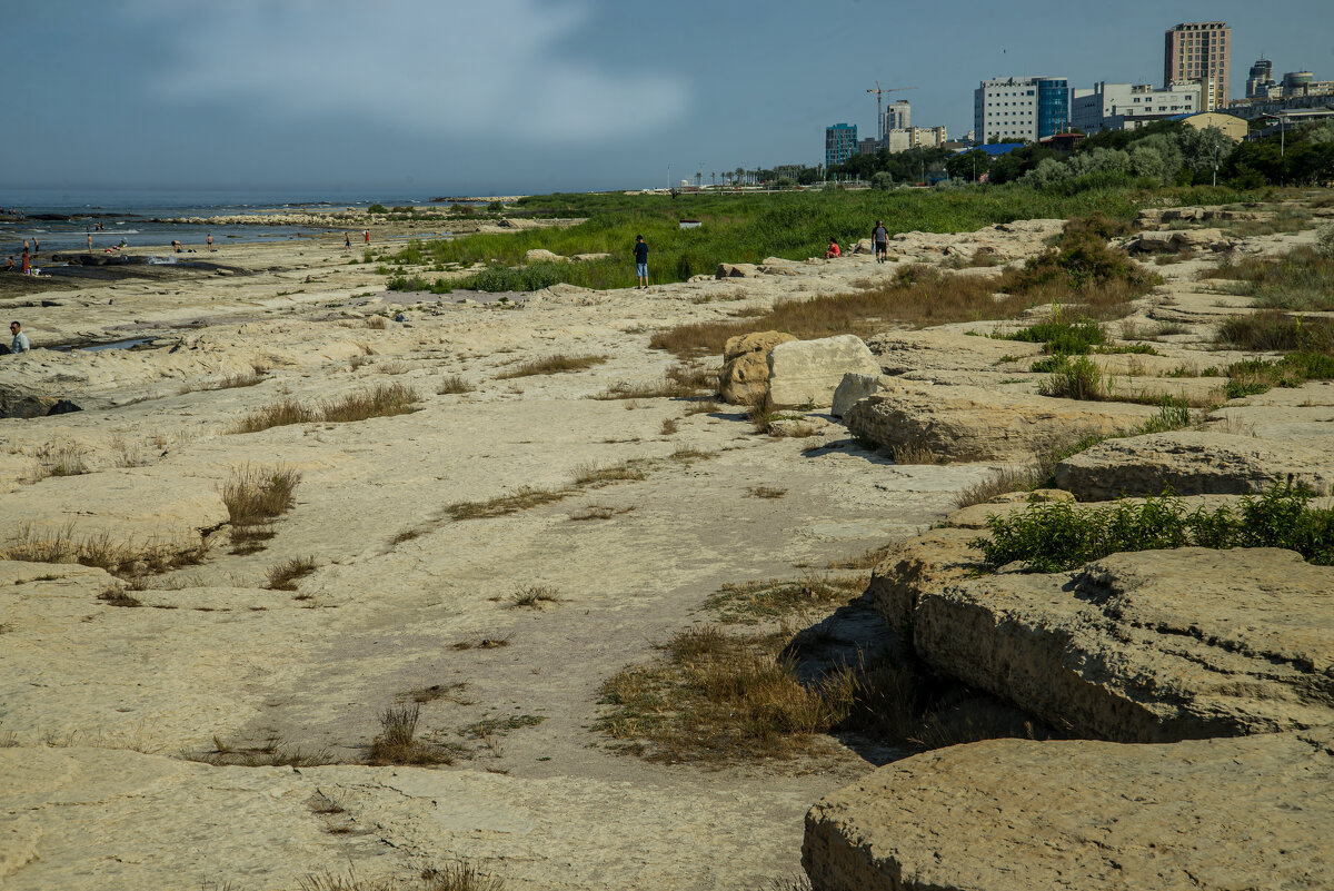 На берегу - Анатолий Чикчирный
