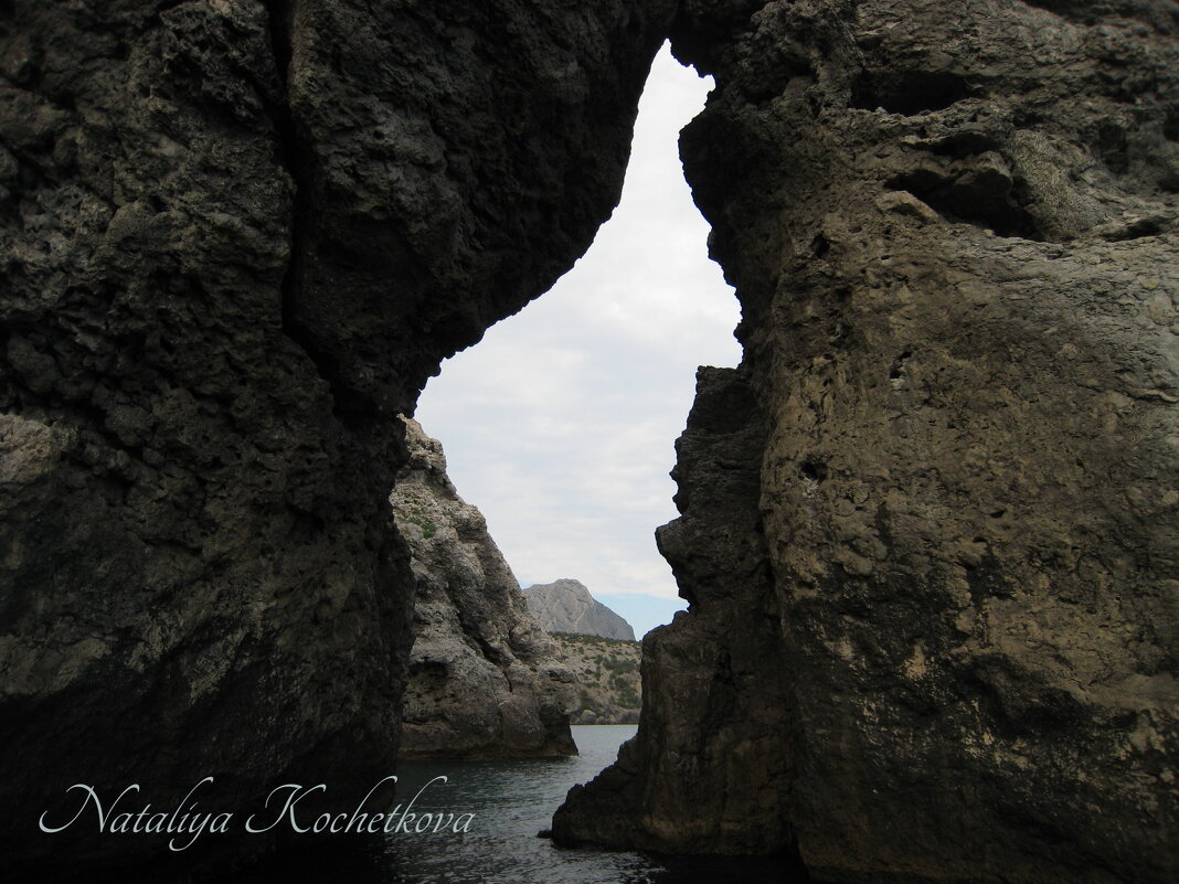 Природа Крыма - Amazing Cosmea