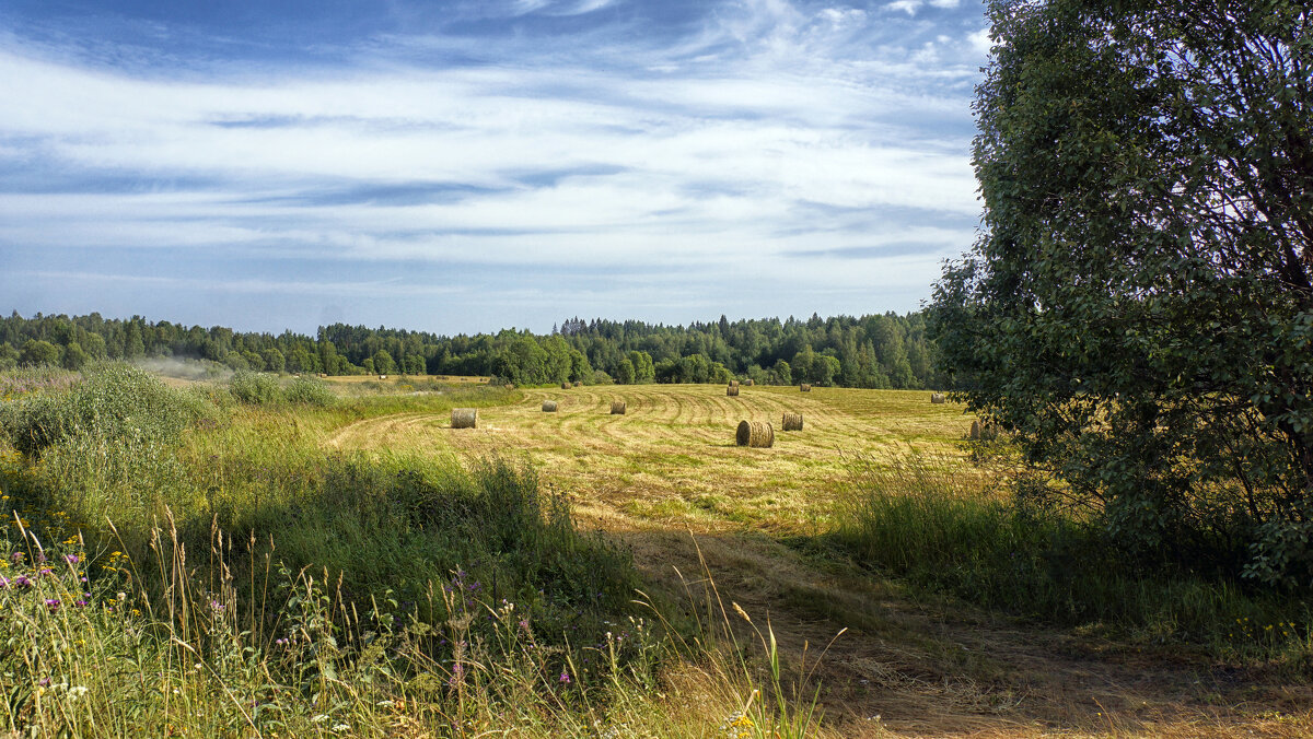 Сенокос.... - Ольга Cоломатина Сенокос.... - Ольга Cоломатина