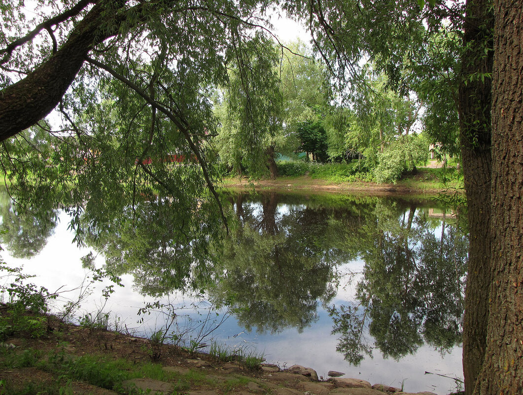 Река Порусья - Александр Ильчевский Река Порусья - Александр Ильчевский