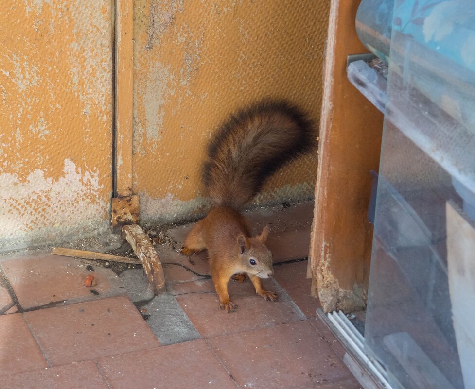 ___ - Yuriy V ___ - Yuriy V