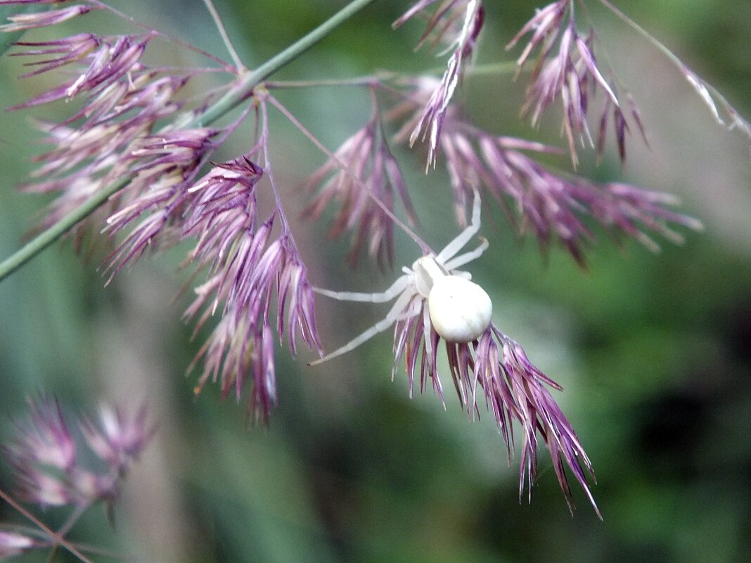 ** - Зоя Мишина