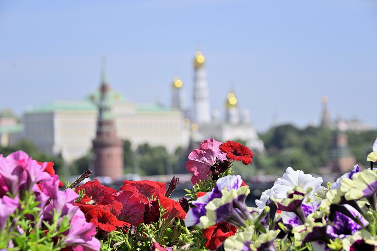 - - Владимир Мигонькин