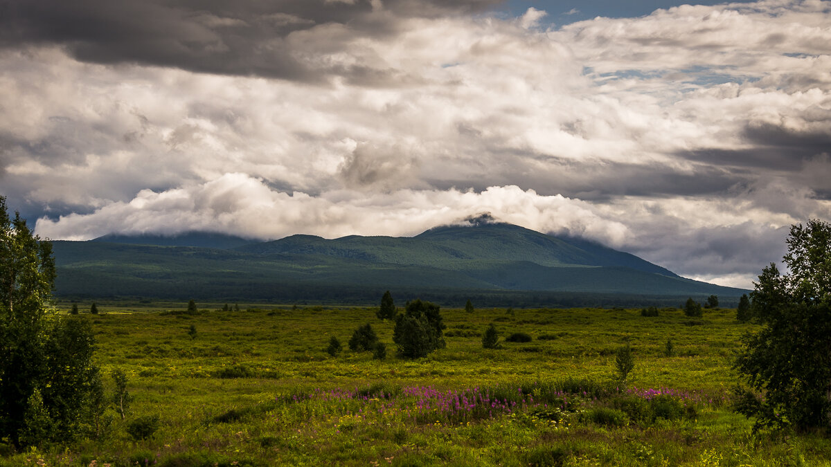 ... - Жора Житников