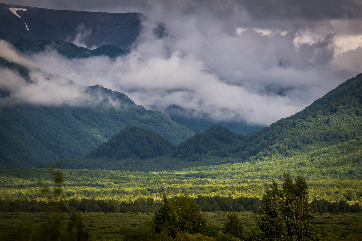 ... - Жора Житников