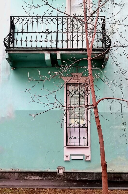 Московский дворик - Любимова Ольга 