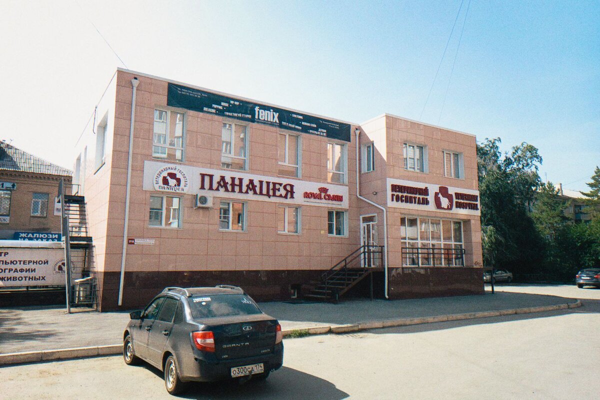 Панацея, спасение домашних животных. - Игорь Солдаткин