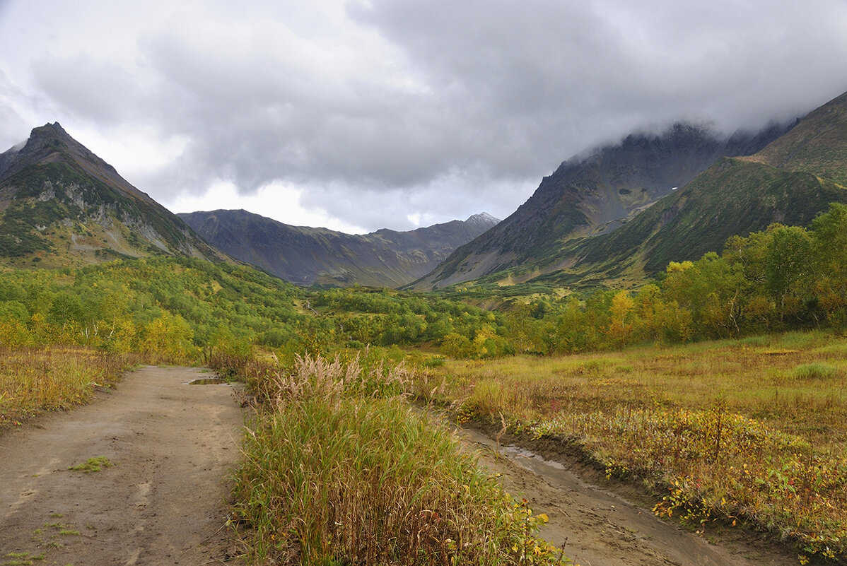 Все выше, и выше, и выше... - Марина Виноградова Все выше, и выше, и выше... - Марина Виноградова