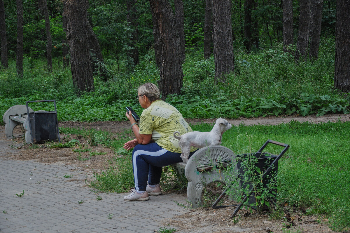 Оптимисты - Татьяна Машошина Оптимисты - Татьяна Машошина