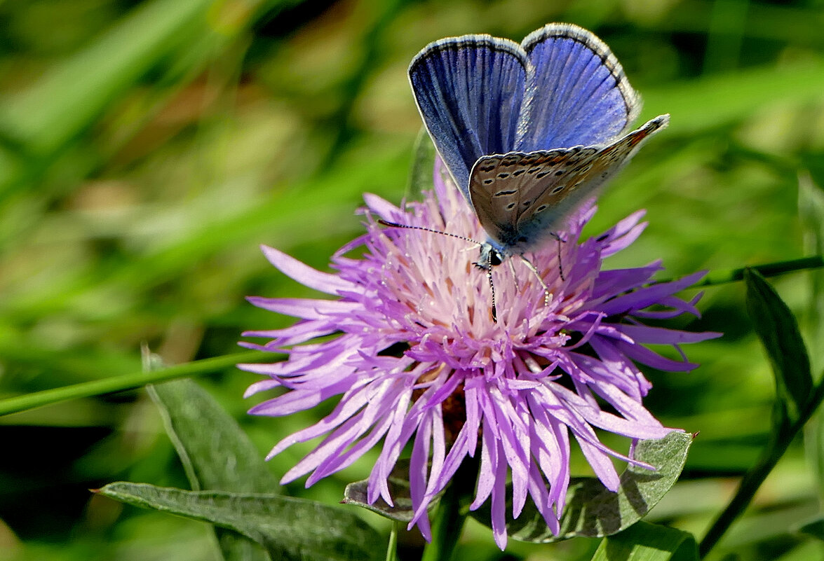 из снятого 1 августа 26 - Александр Прокудин