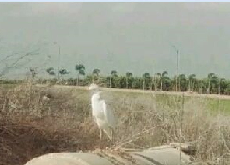 112 (160) - СТРЕН 