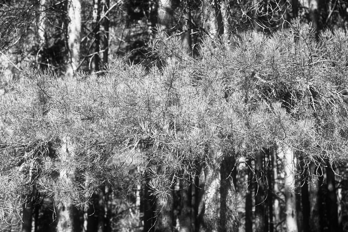 Назва. отсу. - Денис Безногов